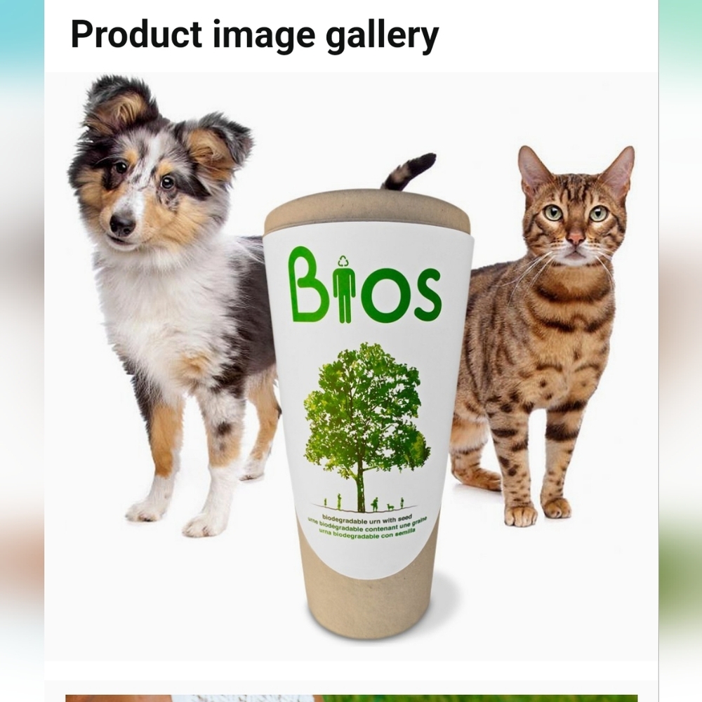 Bios Biodegradable Urn for Pets #LIFEAFTERLIFE  Statues Sold Seperately